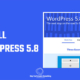 WordPress tutorial: How to install WordPress 5.8 RC beta? | 2021