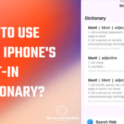 How to use your iPhone's built-in dictionary?