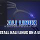 Kali Linux persistence live install USB