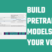 Build pretrained models to clone your voice