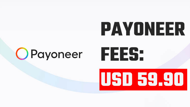 Payoneer annual fees