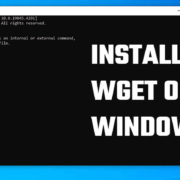 Download and Install wget