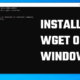 Download and Install wget