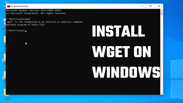 Download and Install wget