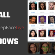 Install DeepFaceLive Win 11