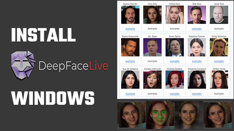Install DeepFaceLive Win 11