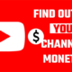 Monetized YouTube Channel