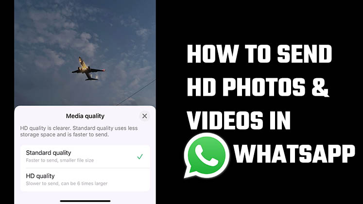 Send HD photos and videos WhatsApp