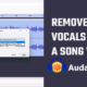 Remove Vocals Audacity