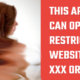 Open blocked sites using custom DNS