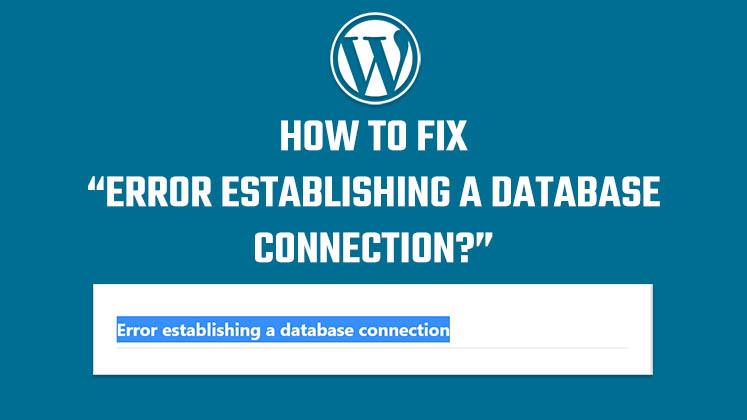 fix error establishing a database connection