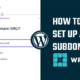 subdomain in WP Engine WordPress Hosting?