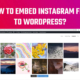 Embed Instagram Feed to WordPress