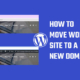 move WordPress site to new domain