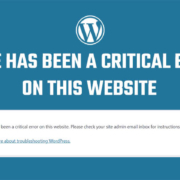 Fix - There has been a critical error on this website