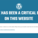 Fix - There has been a critical error on this website