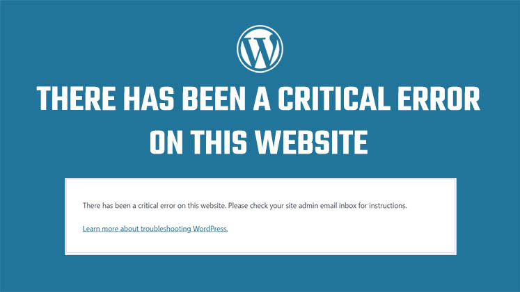 Fix - There has been a critical error on this website