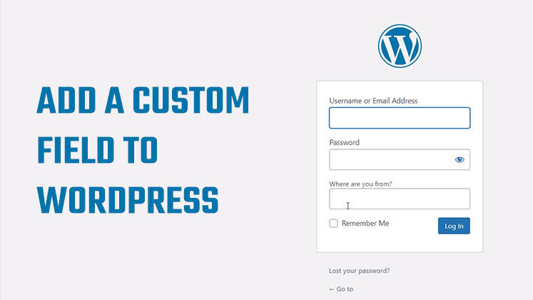 Add Custom Field to WordPress Login Page