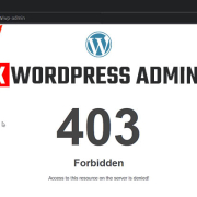 Block WordPress Admin by IP