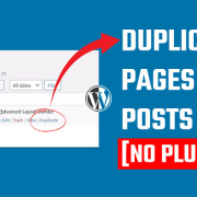 Duplicate Page posts