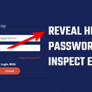 Reveal hidden passwords