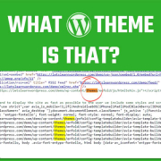 What WordPress theme is that