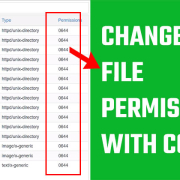 Change file permissions