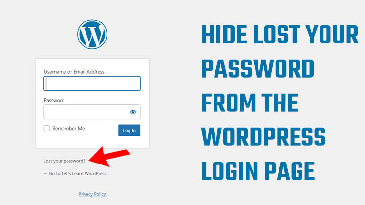 Hide Lost Your Password