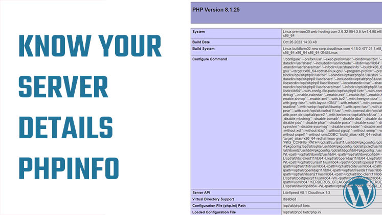Run PHPinfo WordPress