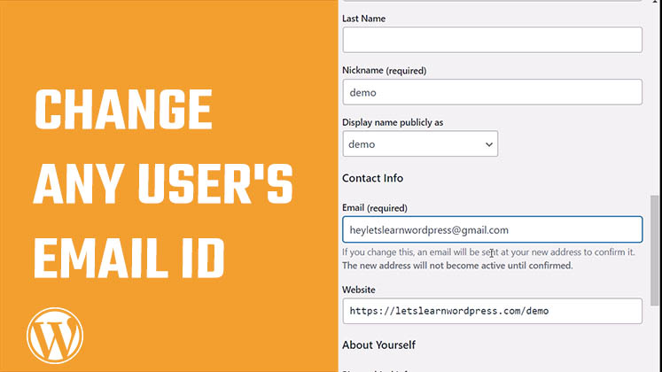 Change User Email without Confirmation