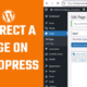 Redirect WP pages